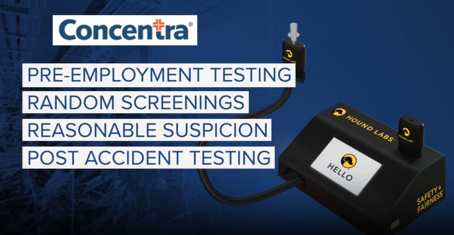 Screenshot 2024-08-06 at 10.51.28 AM.png