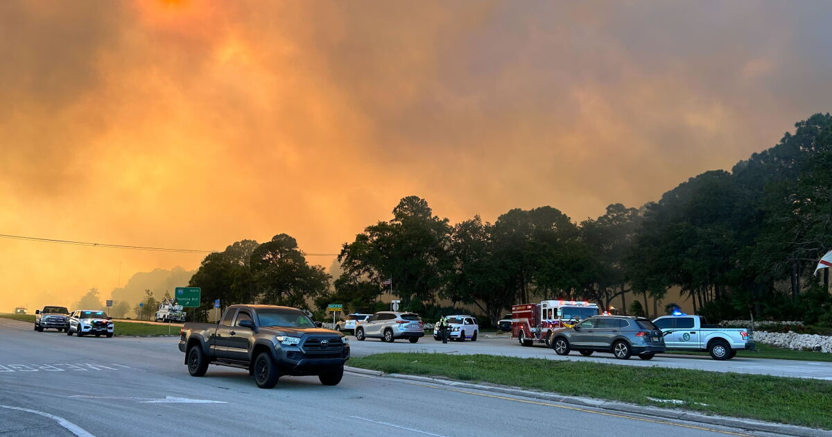 Crews battle brush fire near Stuart West community in Palm City
