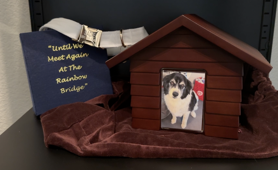 Screenshot 2026-01-13 at 4.34.57 AM.png