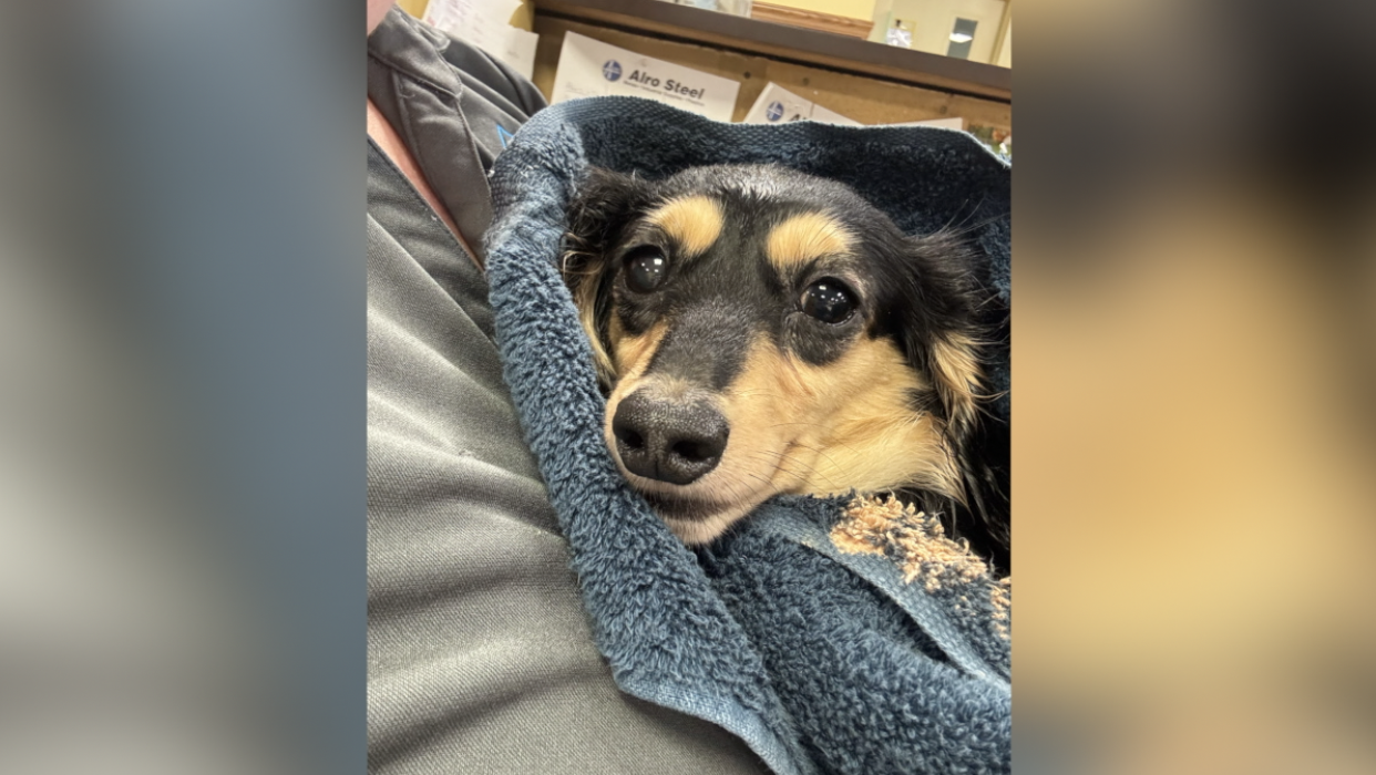 Screenshot 2025-08-21 at 4.13.43 PM.png