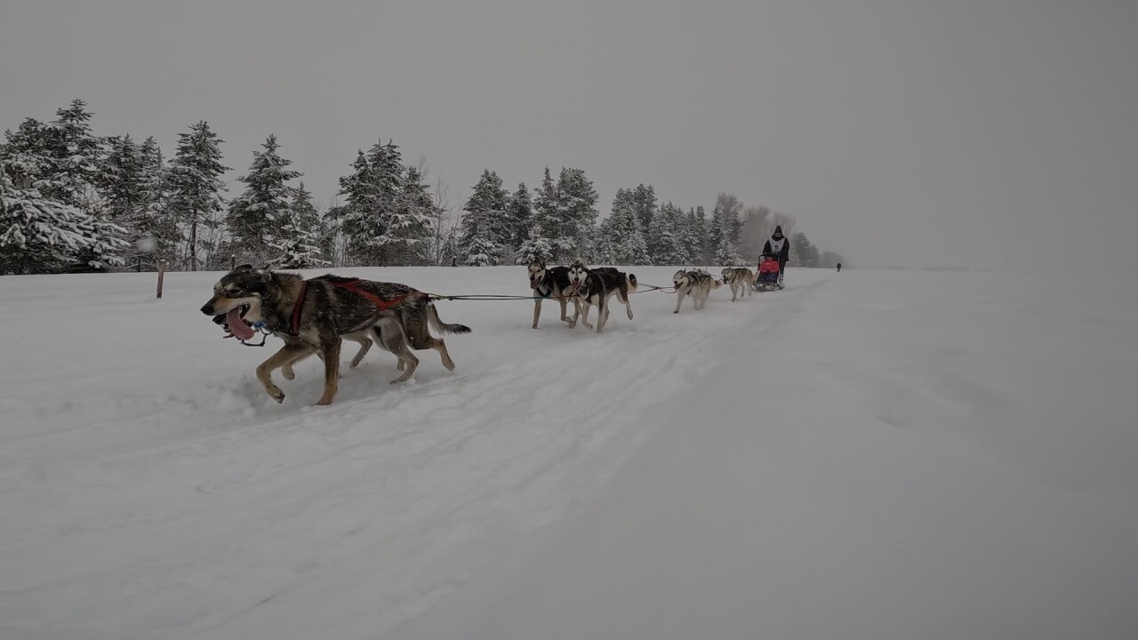 This is an extreme winter sport