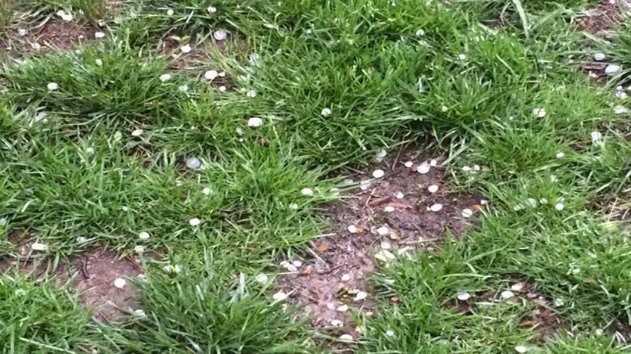 Severe thunderstorms bring hail to KC metro