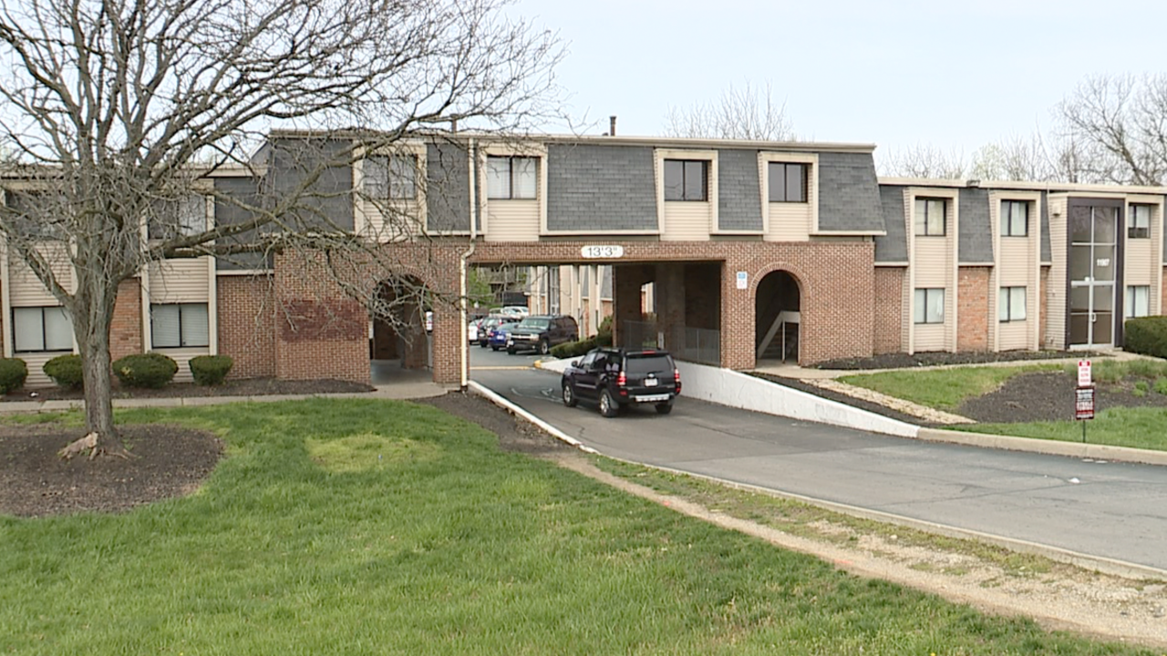 The Willows of Springdale