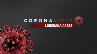 la coronavirus.png