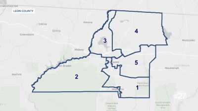 LEON COUNTY CENSUS DATA