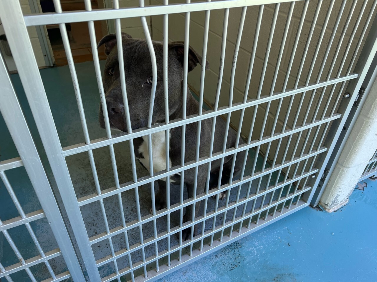 thumbnail_image5 (1).jpg