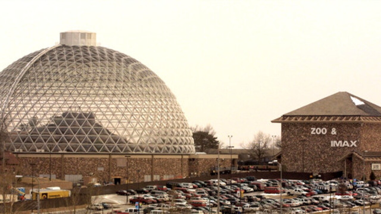Have Tree Debris Henry Doorly Zoo Will Take Certain