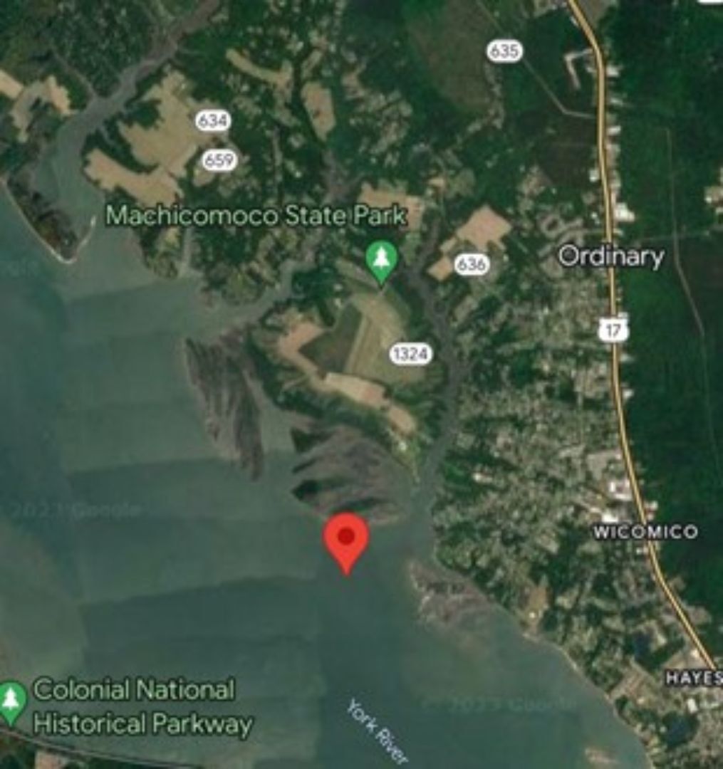 Untitled design (65).jpg