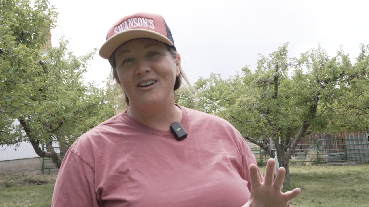 Kendall Mouw and her husband Ryan manage Swanson's Mountain View Orchard in Corvallis.