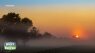 Photo of the Week: Kevin Galus