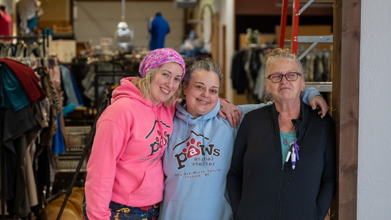 PAWS new store-5.jpg