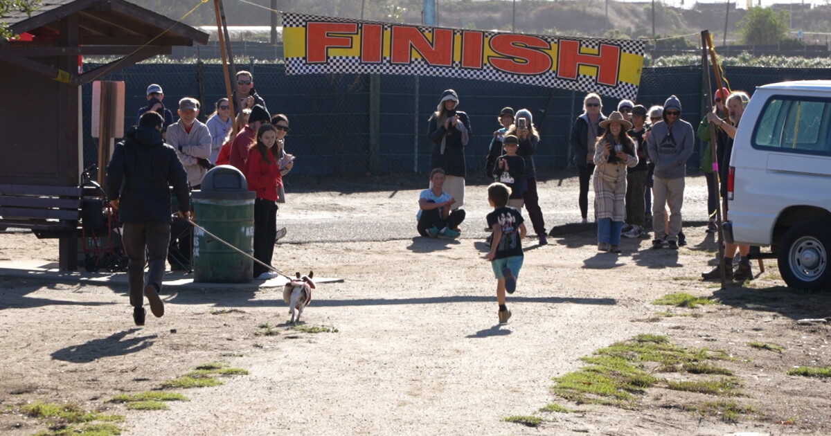 Residents trot for a turkey in Lompoc's Turkey Trot and Kids Turkey Dash - Vimarsana News