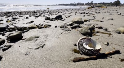 Goleta Beach.jpg