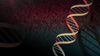 Genetic testing DNA AP 