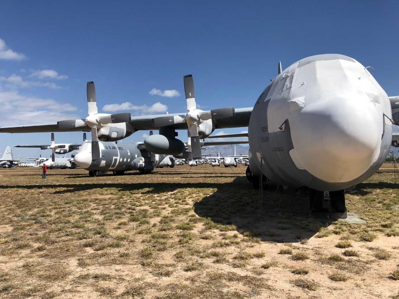 amarg 1.jpg