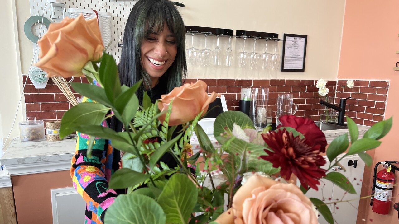 bloom ov november 2025