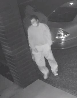 LP suspect 2.jpg