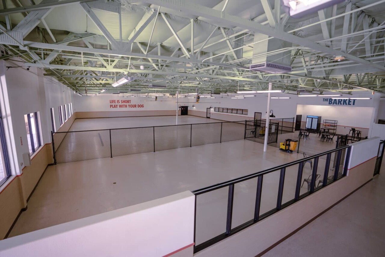 Inside 'Mak Pack Dog Training and Boarding' second location.