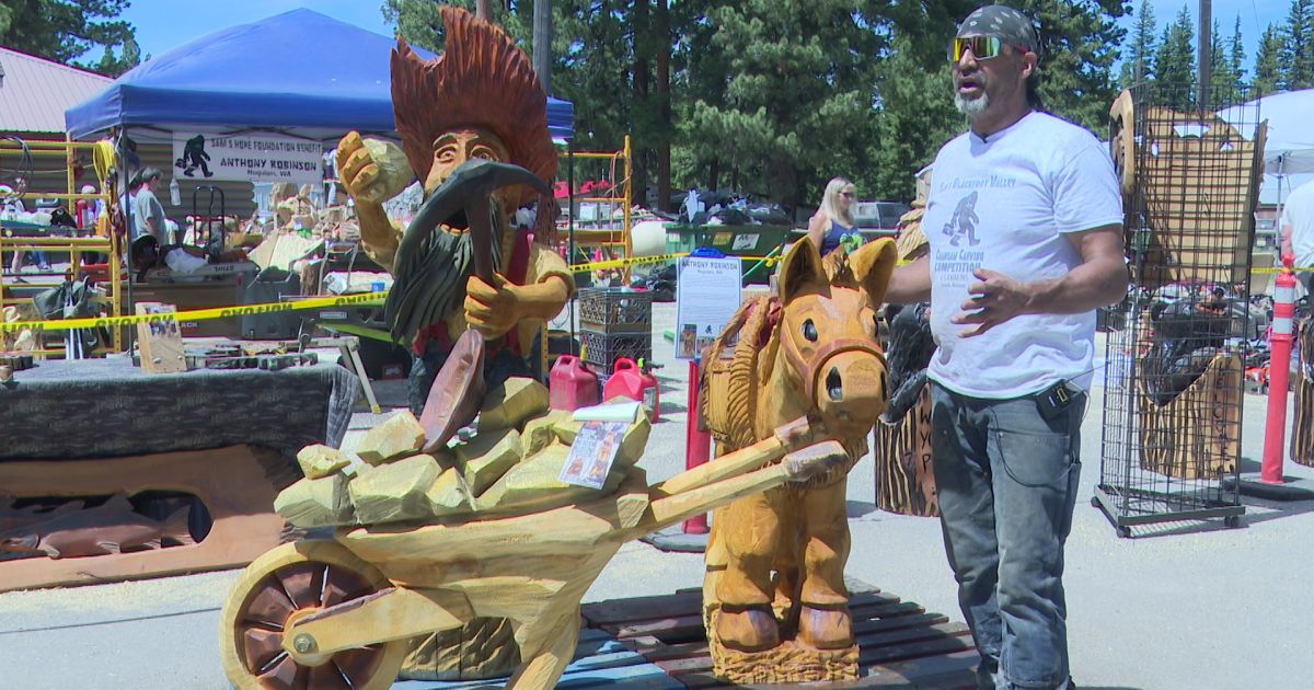 Major support seen for chainsaw carving auction in Lincoln - Vimarsana News