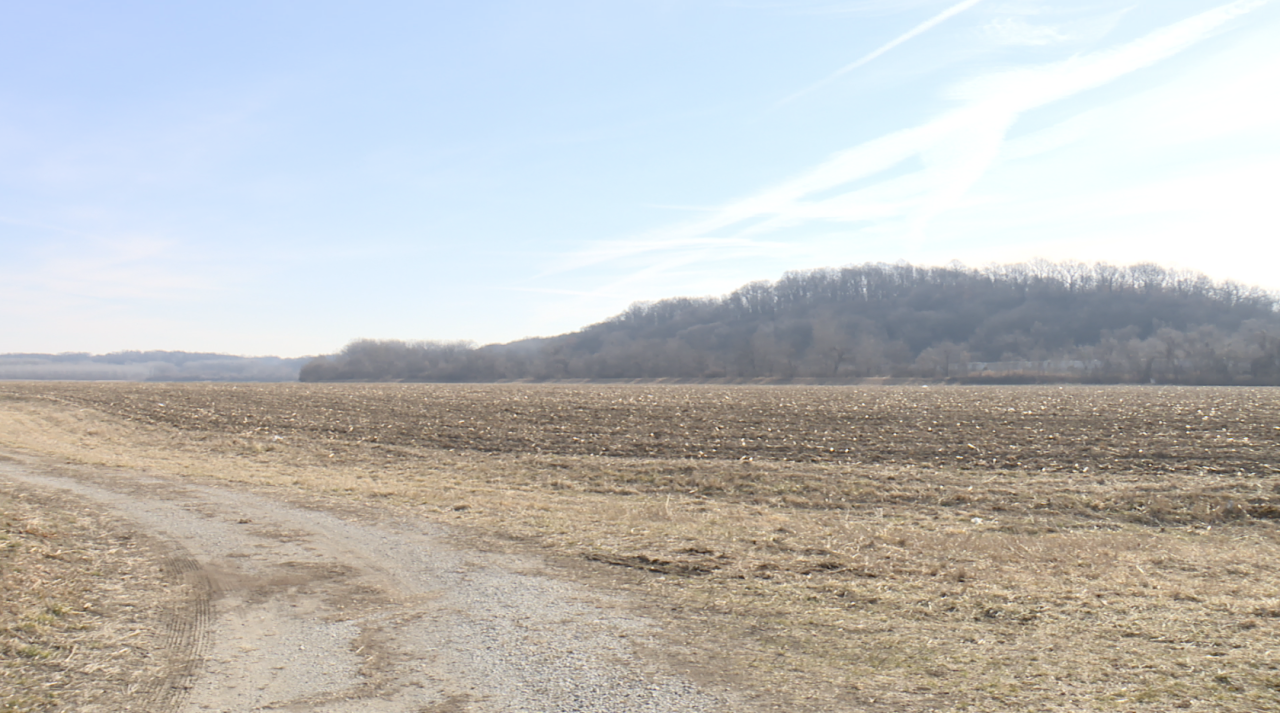 independence field.png