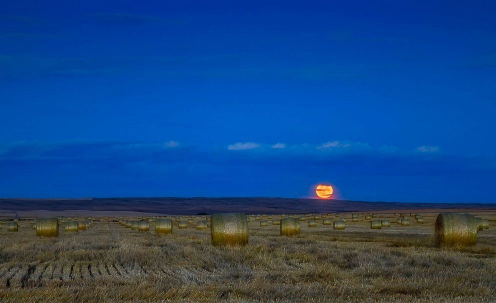 PHOTO:The Harvest Moon is pictured, Sept. 24, 2018, in thin clouds and above a field of hay bales in Alberta, Canada (Vw Pics/Universal Images Group via Getty).