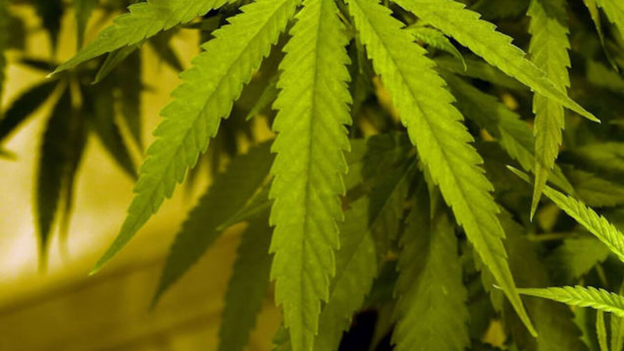 In Illinois, fake marijuana has been linked to one death and 37 cases of severe bleeding.