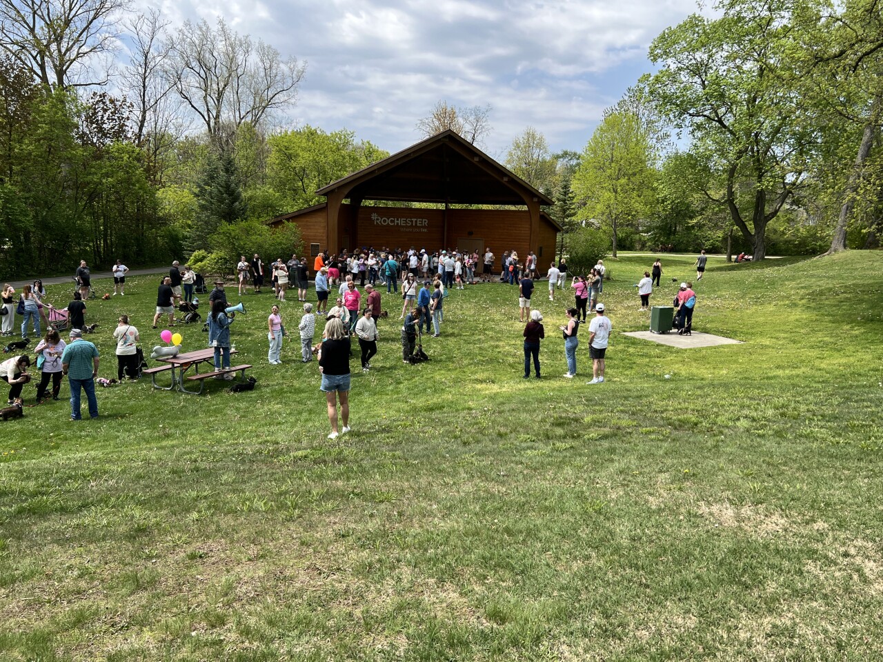 weenie walk pic 2.jpg