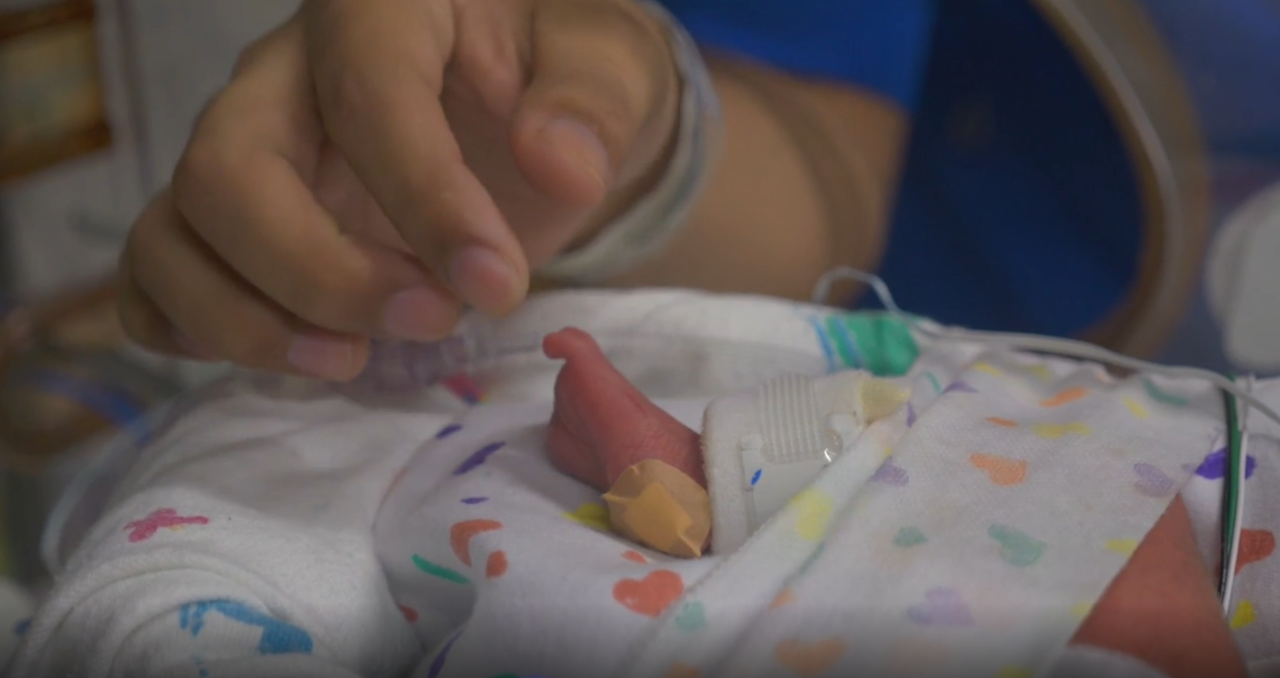 quadruplet baby girls