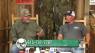 Southern Woods and Waters: Sneed Fishing p3