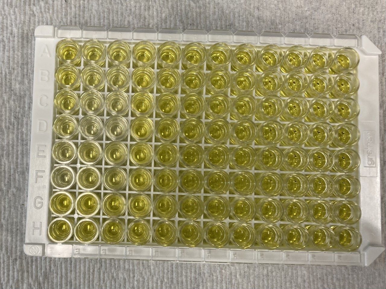 Bloom plate samples