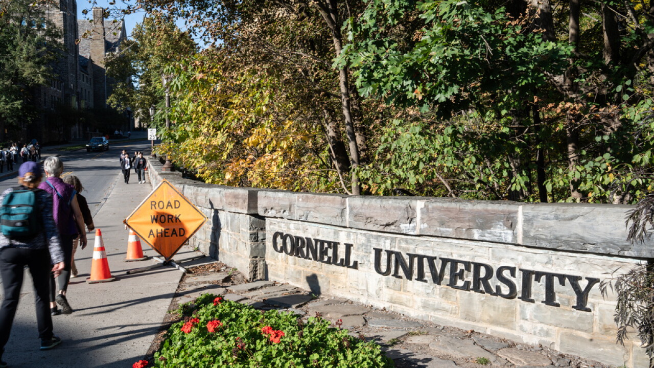 Cornell Investigation