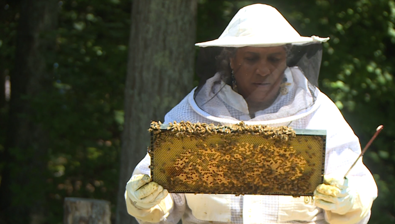 Bee keeping
