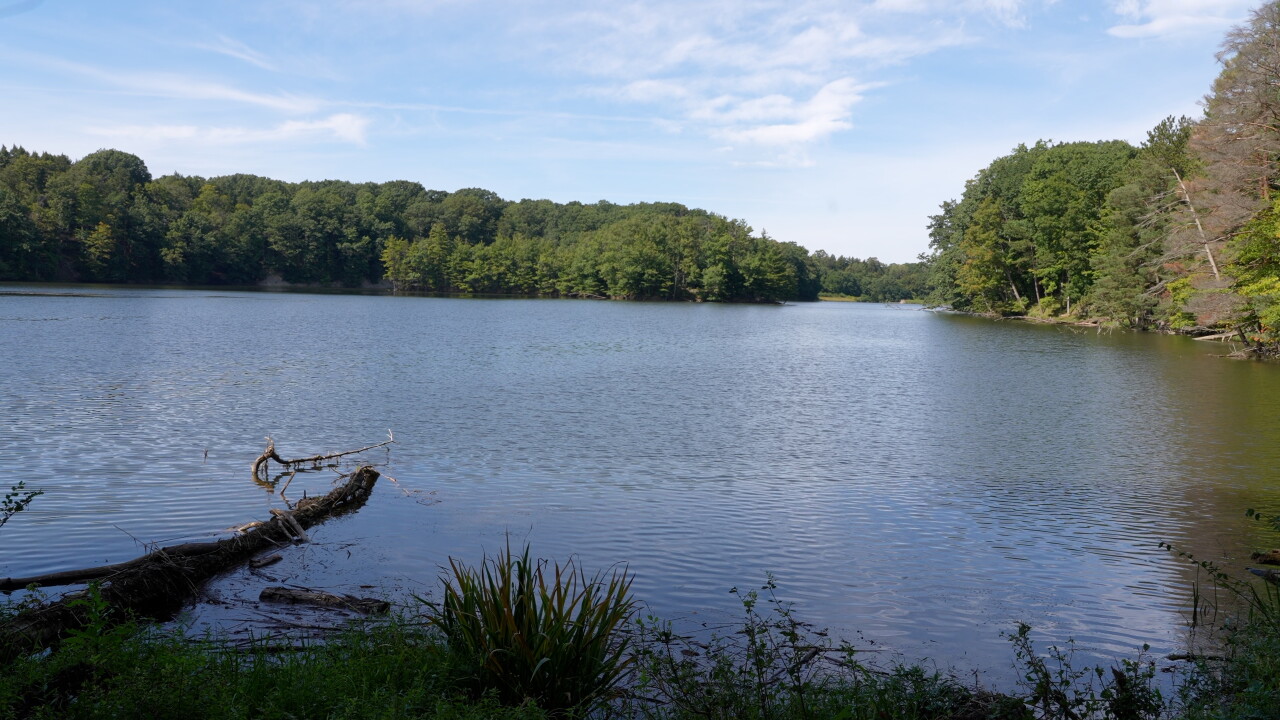 DUNKIRK RESERVOIR.jpg