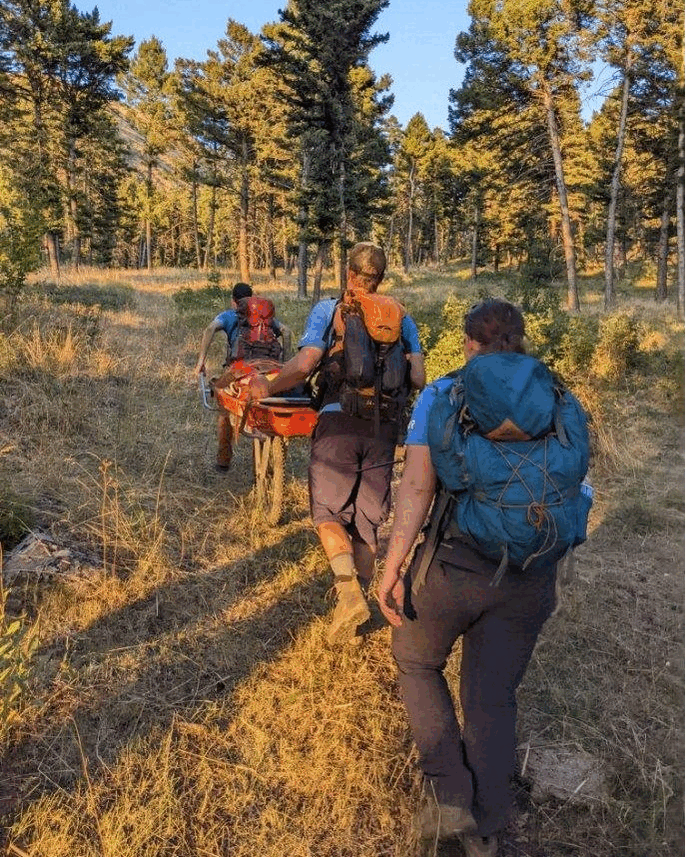 fairy lake rescue.gif