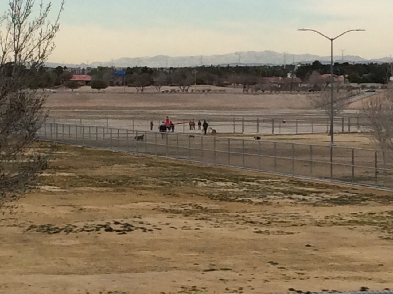 park copter landing.jpg