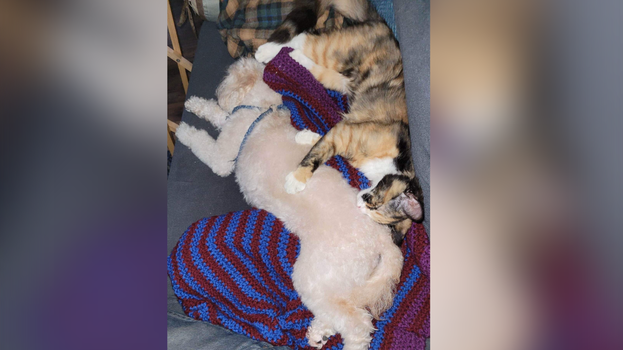 Vee Jeanne and Troy 2.png