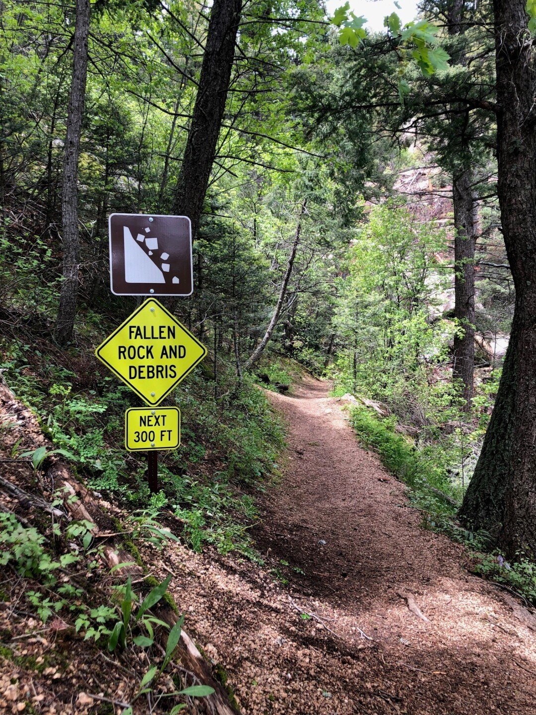 Palmer Red Rock Trail Image 2