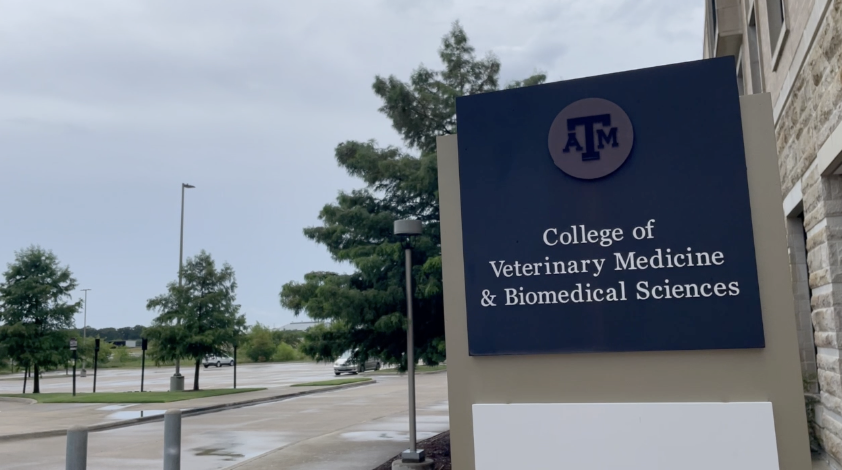 Texas A&M researcher helping develop wearable health tech to detect disease before obvious symptoms appear