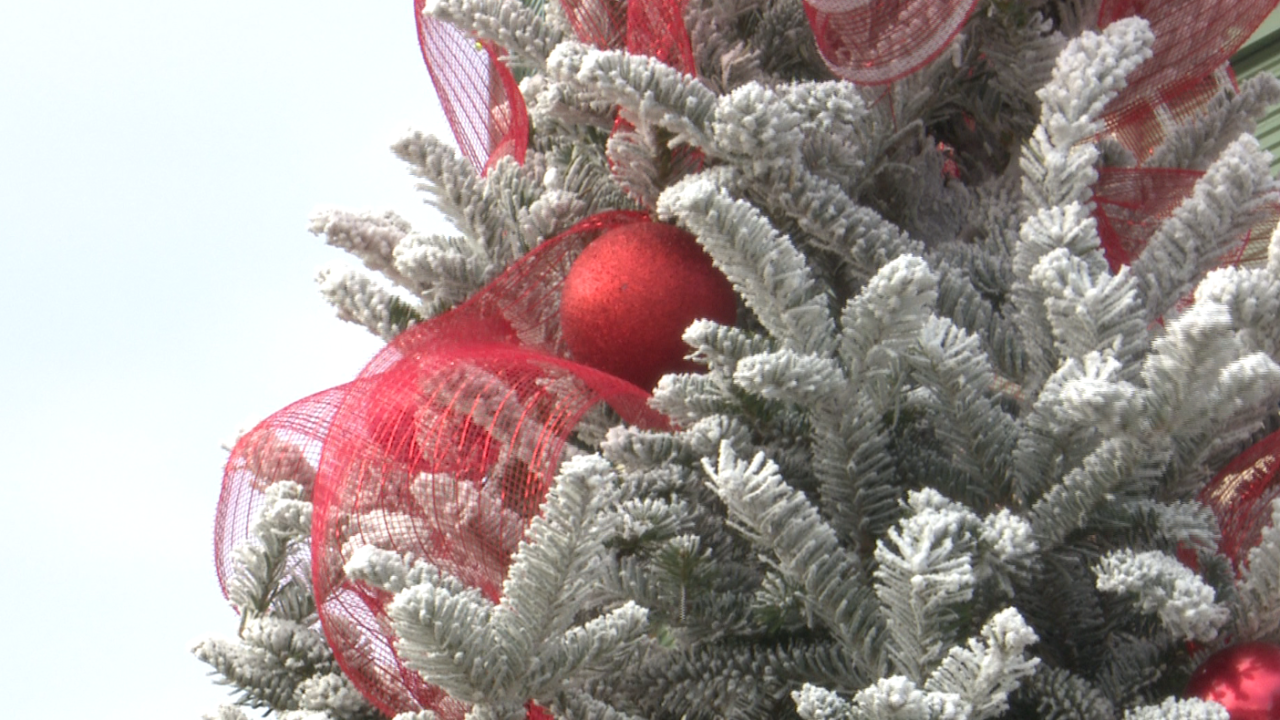 Packers vs. Browns: Fans celebrate Christmas at Lambeau Field