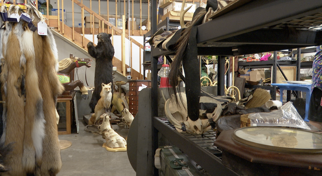 Davis Brothers Auctions