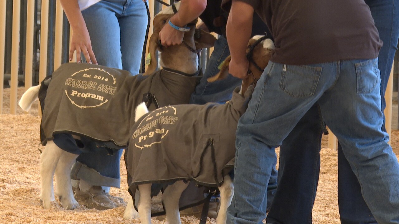 Warrior Goat program at Mid-State Fair