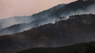 Spain Europe Wildfires