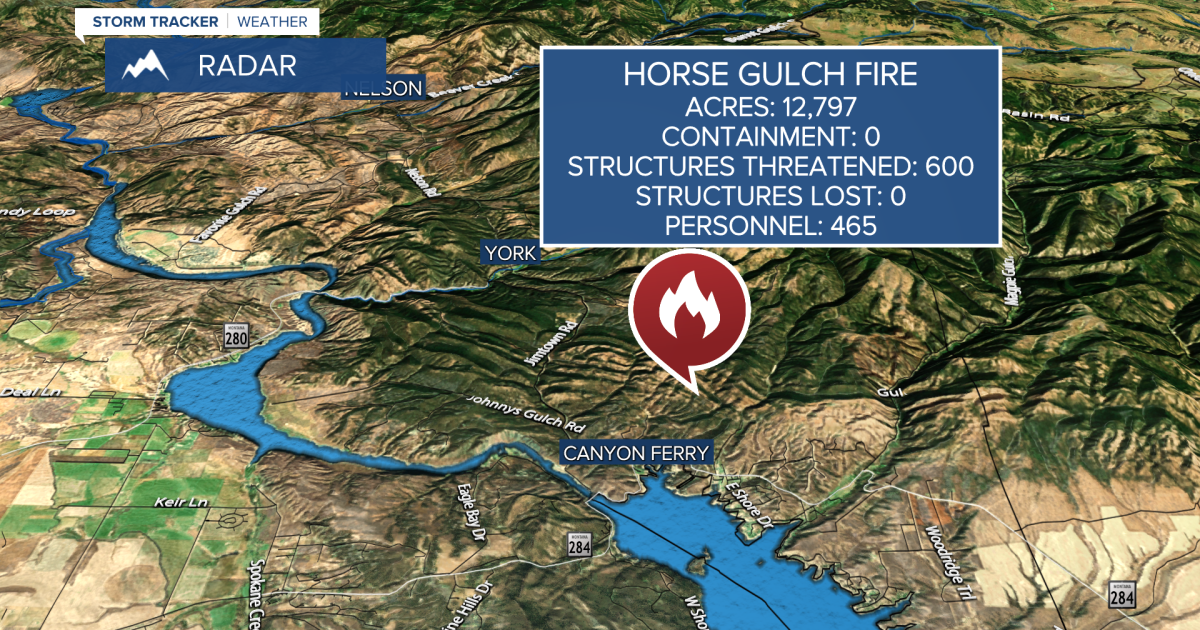 Numerous Large Fires in Montana