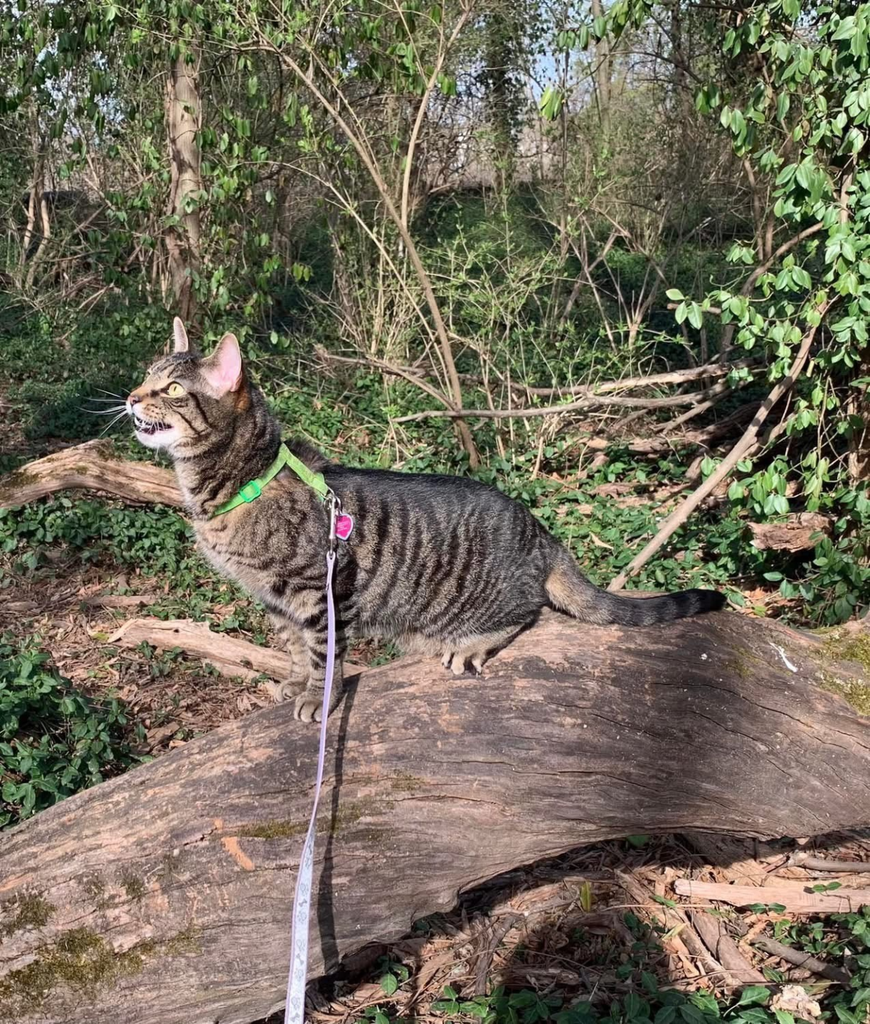 Mug Shot of the Week: Keri Martin