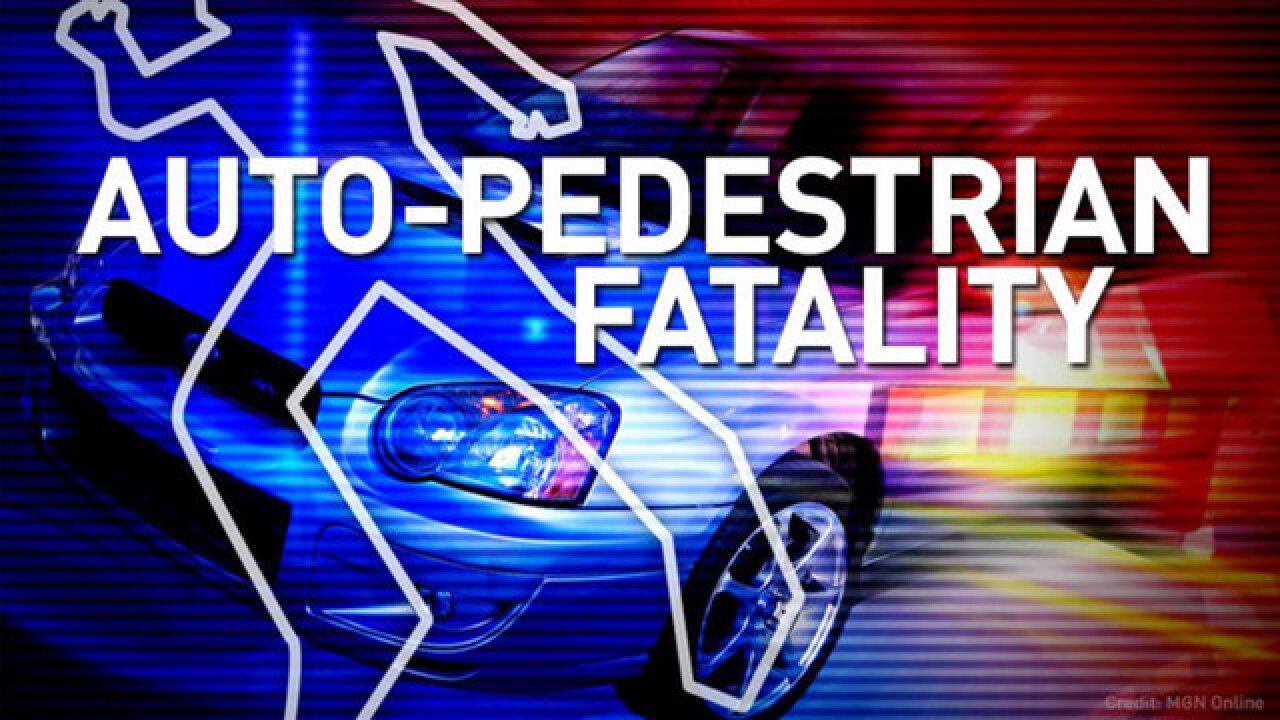 Image result for fatal vehicle and pedestrian accident