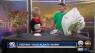 Advice on how to keep your plants warm during cold weather