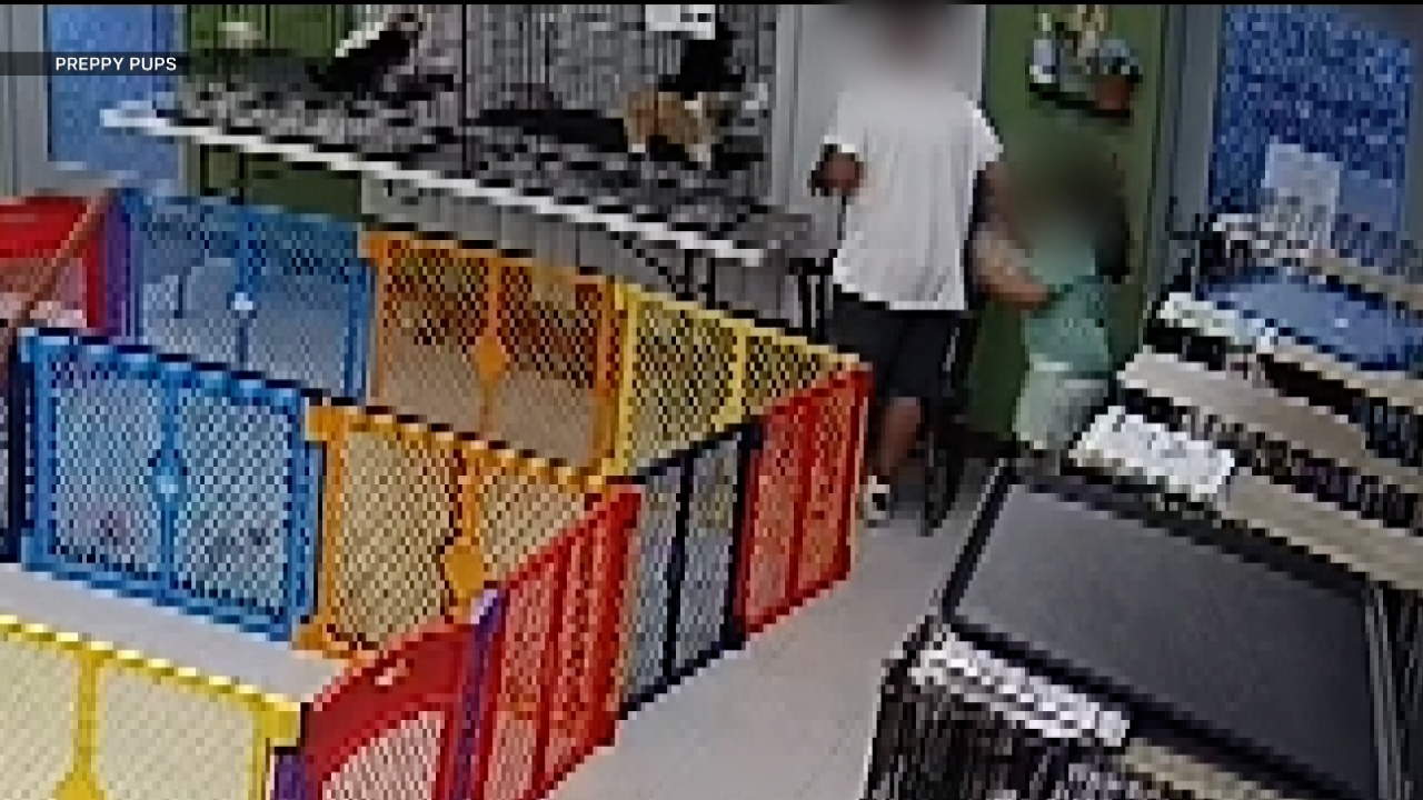 Preppy Pups Surveillance Video
