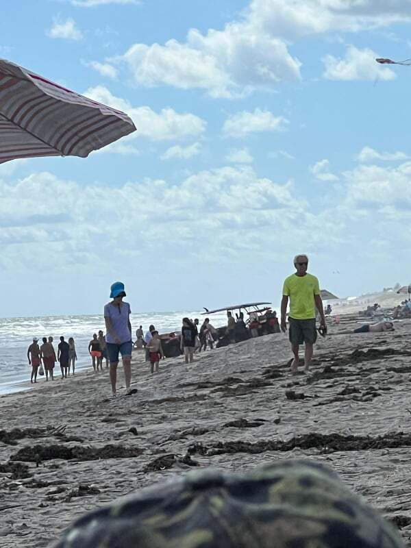 Jensen Beach Park will remain closed today after a person was bitten by a shark in the guarded swimming area.