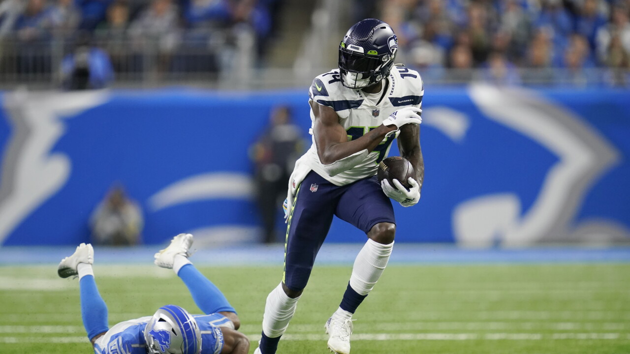Seahawks Lions Football