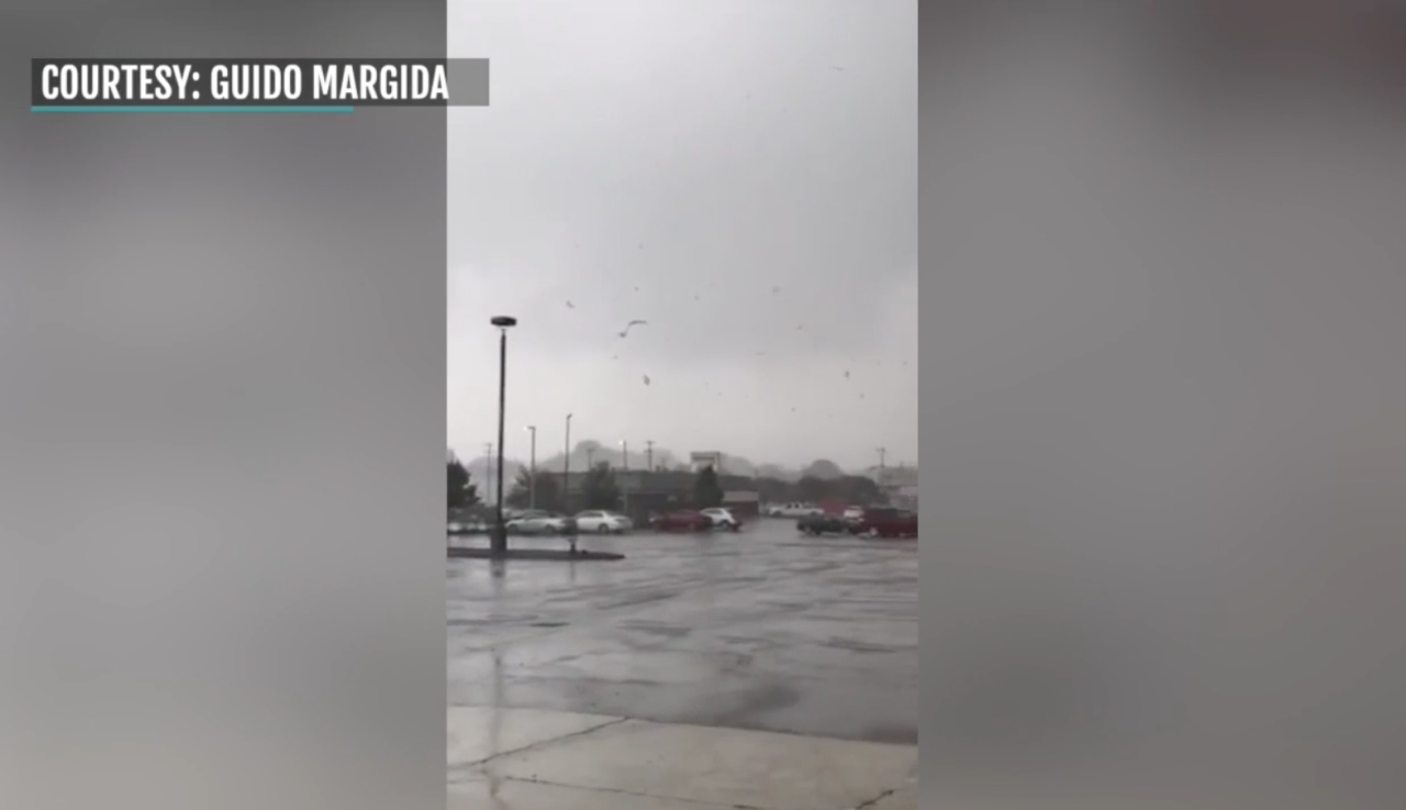 Screen Shot 2021-10-22 at 6.36.22 AM.png